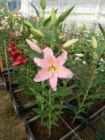 [5580 VH10 No01.JPG]